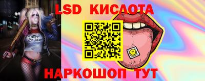 ПСИЛОЦИБИНОВЫЕ ГРИБЫ Кулебаки