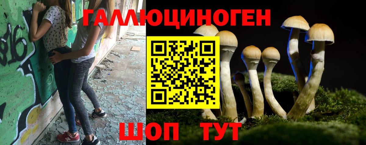 Вичуга  Псилоцибиновые грибы Psilocybe  Вход с VPN 